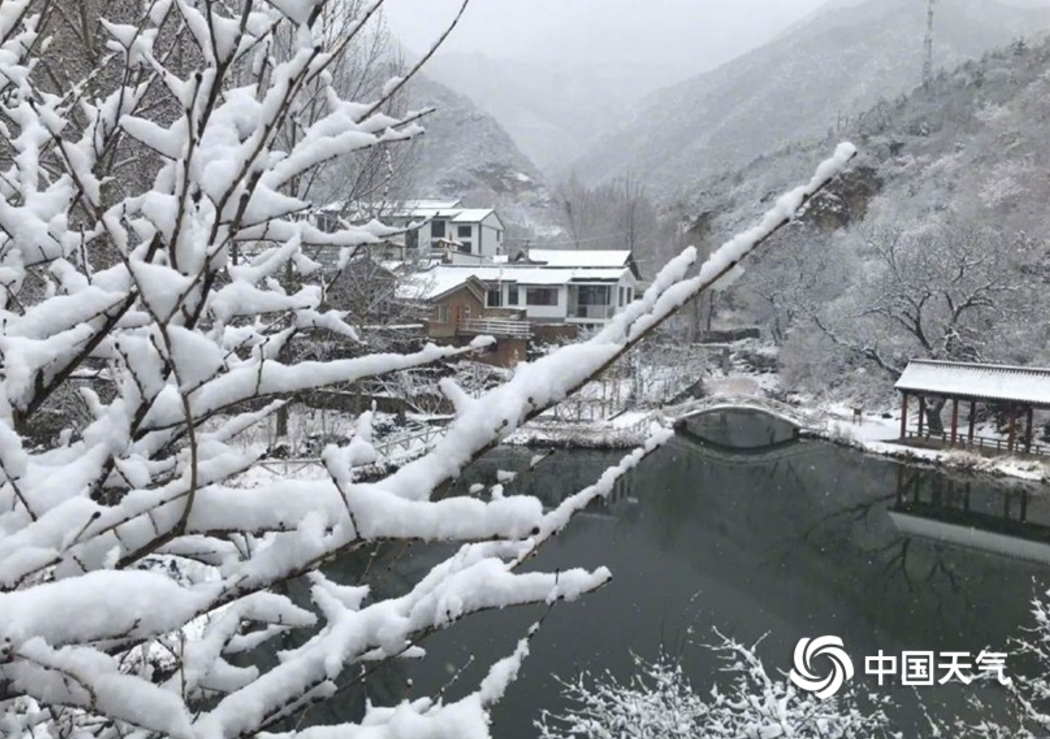 北京郊区四月飞雪 香山桃花戴上雪“帽子”