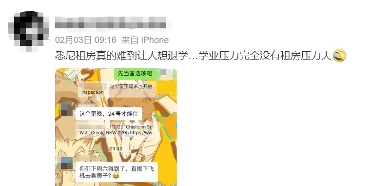 有网友称，在悉尼租房比上学还难