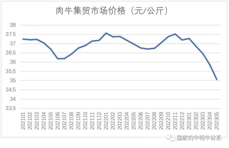 牛肉供过于求的情况下，肉牛价格也呈不断下跌的趋势