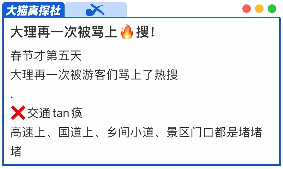 大理又一次被骂上了热搜