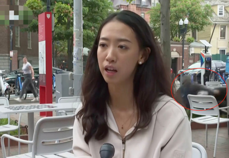 蒋雨融接受美联社采访视频截图